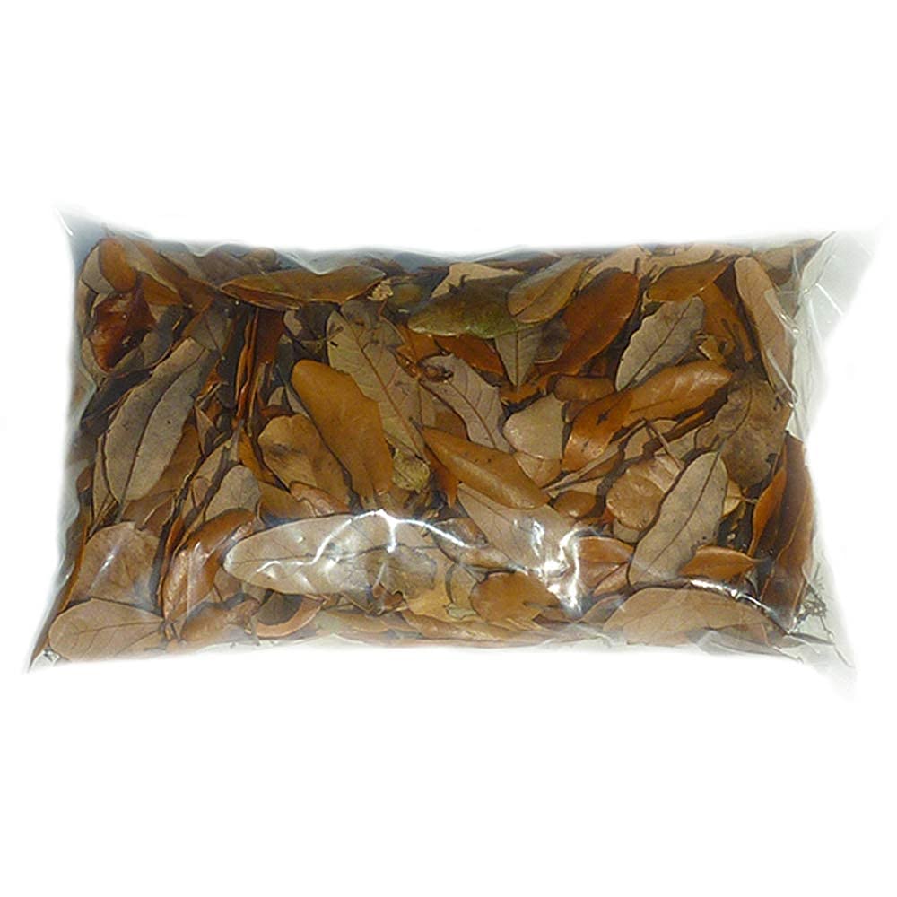 XYZReptiles Premium Live Oak Leaf Litter Isopod Substrate Terrarium Bedding (1/2 Gallon)